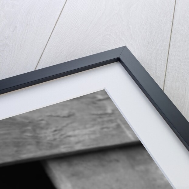 1920s 1930s group of english setter pups with heads sticking out of opening in kennel looking at camera by Anonymous