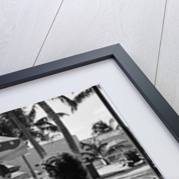1930s three women and one man sitting at tropical pool side table talking together by Anonymous