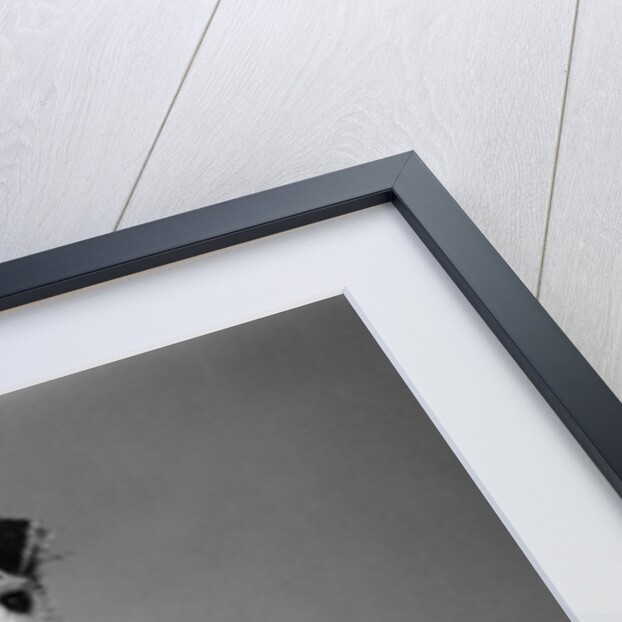 1940s terrier in playful pose front paws up on large ball ready to play by Anonymous