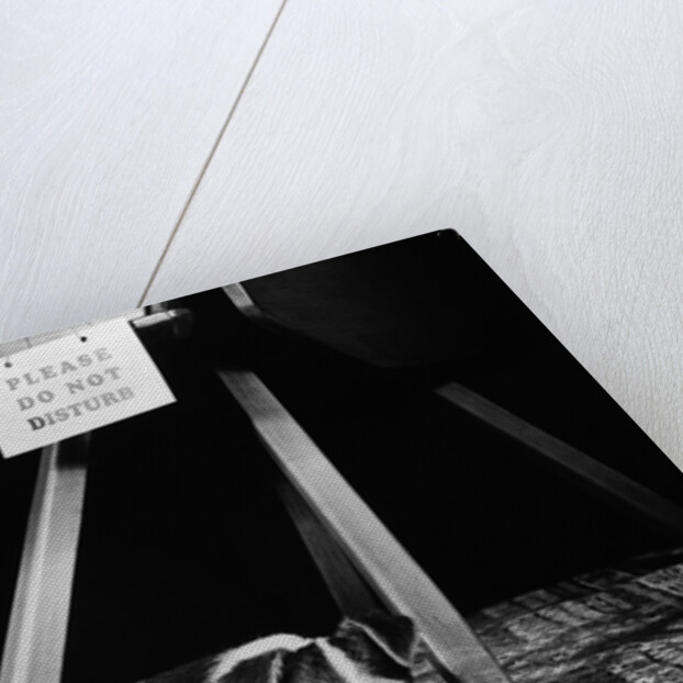1930s 1940s wire fox terrier dog lying curled up on oriental carpet under table looking at camera by Anonymous