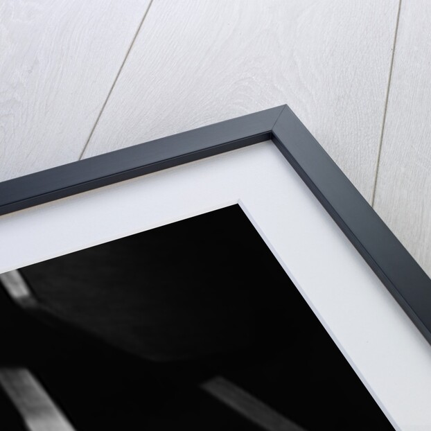 1930s 1940s wire fox terrier dog lying curled up on oriental carpet under table looking at camera by Anonymous