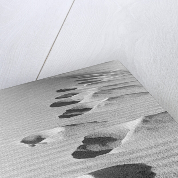 1950s footsteps in sand dunes by Anonymous