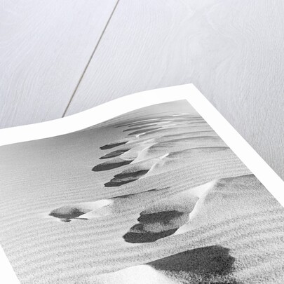 1950s footsteps in sand dunes by Anonymous