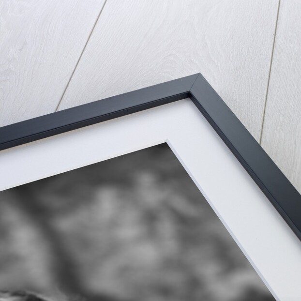 1930s portrait of brunette woman wearing printed blouse half smile mona lisa like beautiful eyes looking at camera by Anonymous