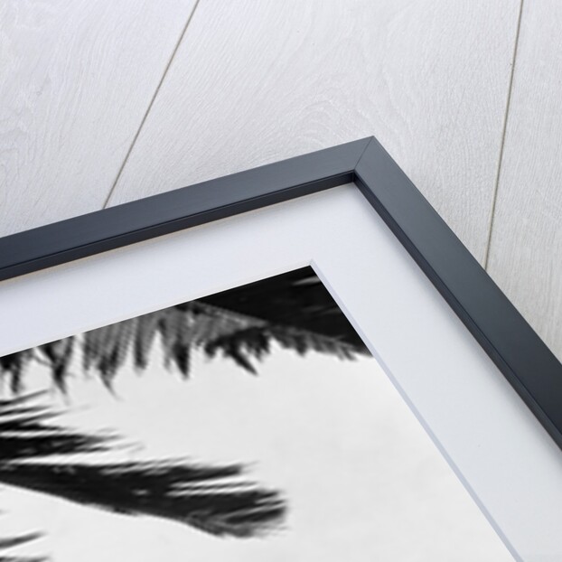 1930s 2 elderly men standing by car carrying golf bag palm tree frond in corner by Anonymous