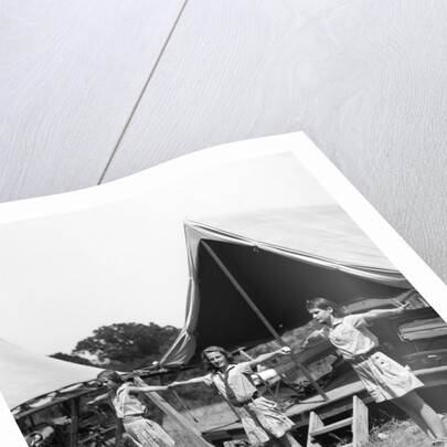 1930s three teen girls doing exercise in a row with arms extended by tent summer camp by Anonymous