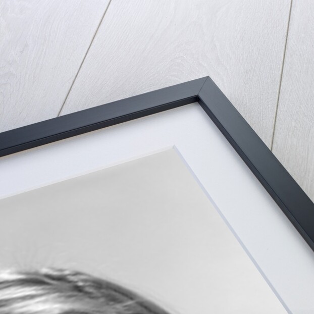 1960s woman portrait looking at camera asking question wonder puzzled funny face expression by Anonymous