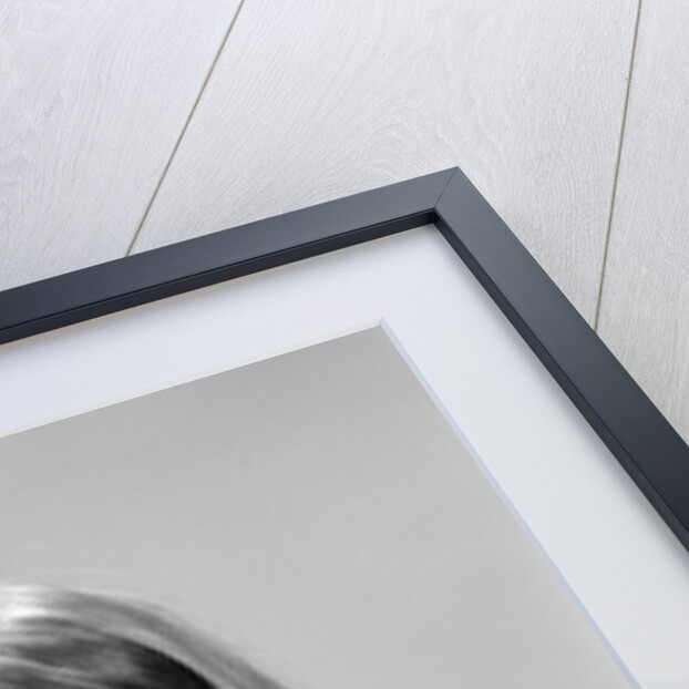 1960s head shot angry woman looking at camera by Anonymous