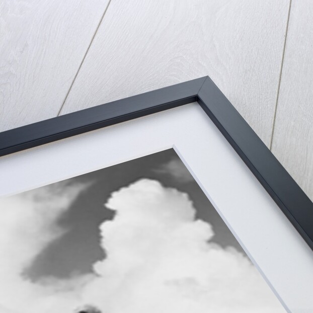 1960s older couple on golfing green man putting by Anonymous