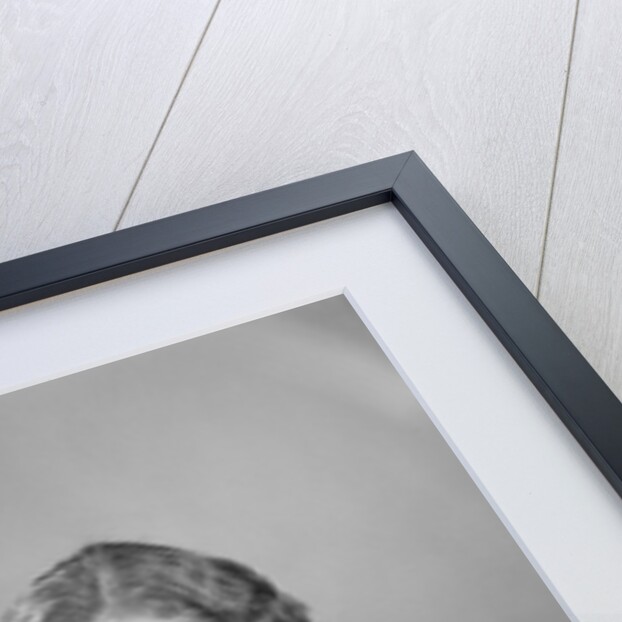 1950s woman wearing sweater holding carved pumpkin jack-o-lantern on her lap by Anonymous