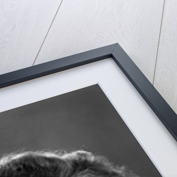 1940s profile portrait brunette woman wearing print dress with lace collar by Anonymous
