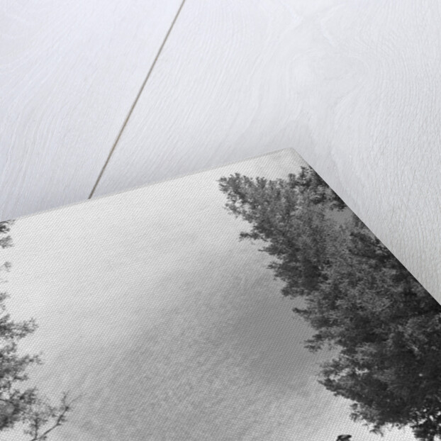 1950s 1960s two men on horseback riding across field wearing cowboy hats by Anonymous