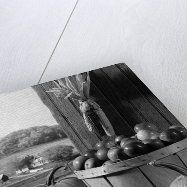 1960s barn door corn apples pumpkins autumn harvest time by Anonymous