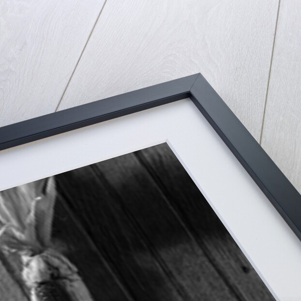 1960s barn door corn apples pumpkins autumn harvest time by Anonymous