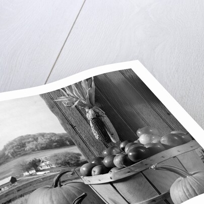 1960s barn door corn apples pumpkins autumn harvest time by Anonymous