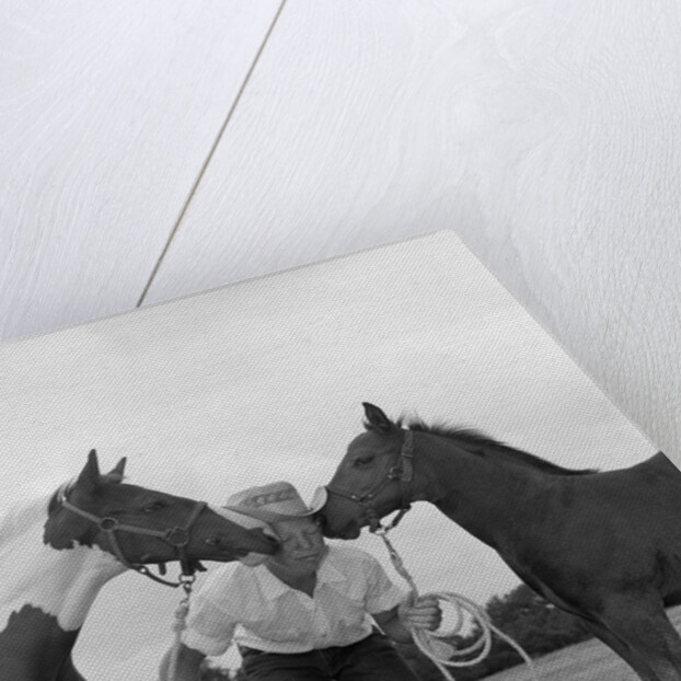 1960s boy wearing cowboy hat holding ropes reins harness halter of 2 horses one on either side of his face kissing him funny by Anonymous