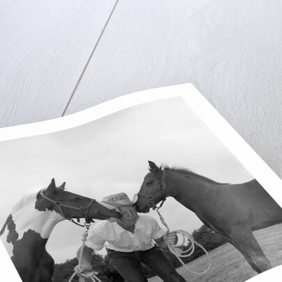1960s boy wearing cowboy hat holding ropes reins harness halter of 2 horses one on either side of his face kissing him funny by Anonymous