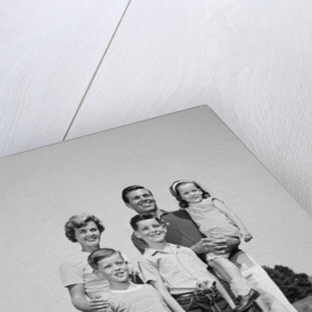 1960s smiling family portrait standing on grass mother father three children by Anonymous