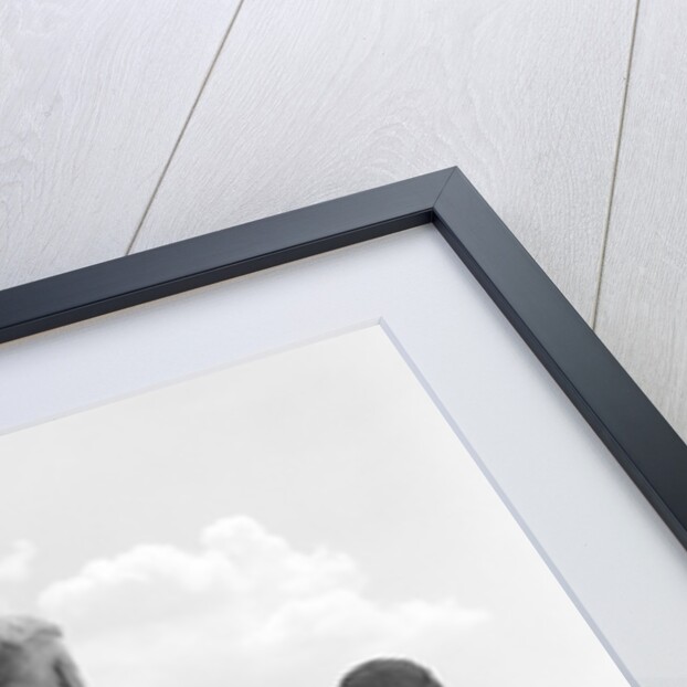 1960s back view grandfather with two grandsons boys by Anonymous