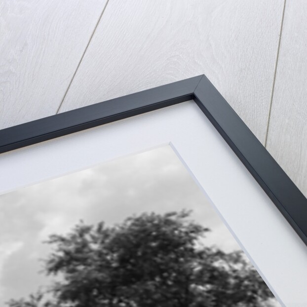 1950s three girls running in grassy field by Anonymous