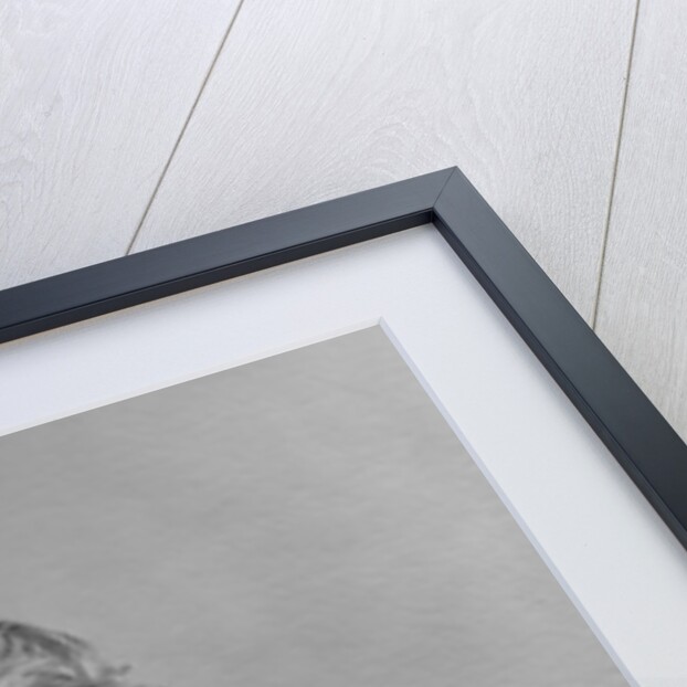 1950slittle boy putting coin into piggy bank by Anonymous