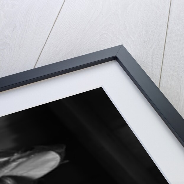 1950s girl play dress up in her mothers clothes hat glasses spectacles facial expression role playing age aging by Anonymous