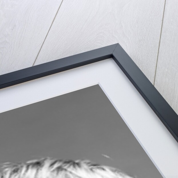 1950s blond boy with eyes closed and hand cupping a wide open mouth shouting by Anonymous