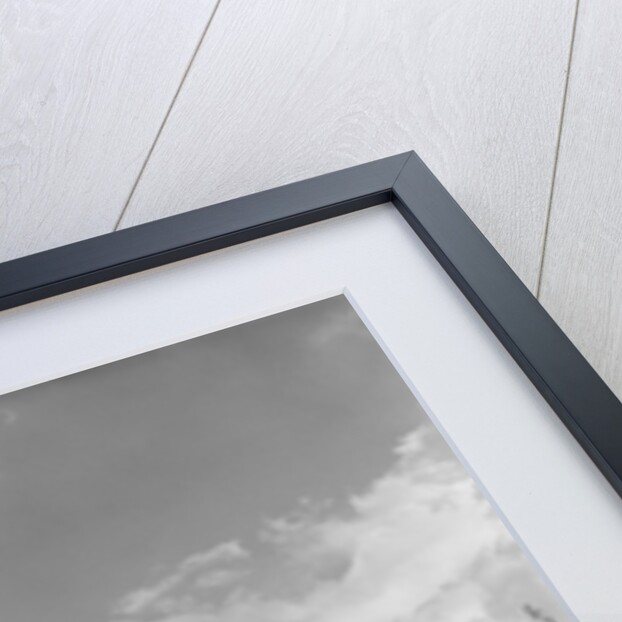 1950s teens in roofless hotrod with graffiti atom & eve no kissing etc. by Anonymous