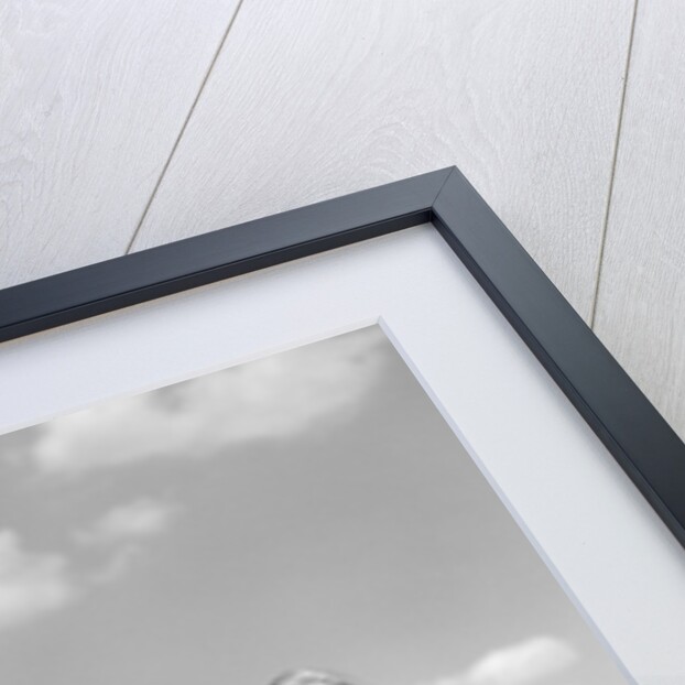 1950s boy girl running grassy farm field holding hands by Anonymous