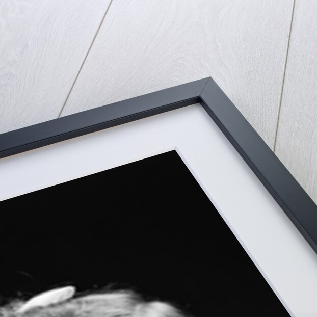 1950s child serious little girl pressing finger to lips hush be quiet secret by Anonymous