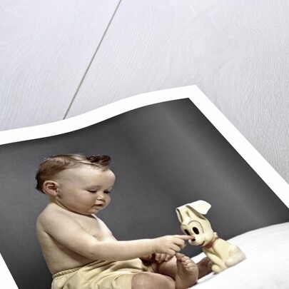 1940s 1950s baby sitting touching toy dog by Anonymous