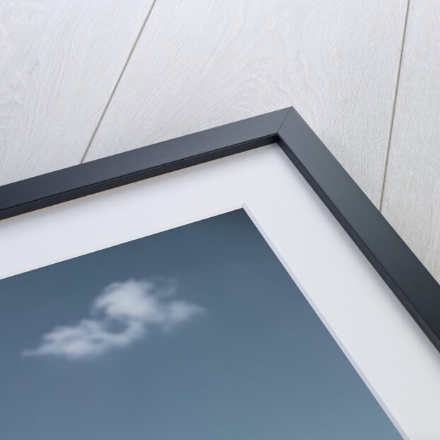 1950s family man woman mother father children boy girl son daughter standing sandy beach with toys and picnic basket by Anonymous