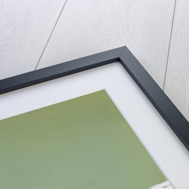 1960s smiling happy baby peeking out from under a blanket by Anonymous