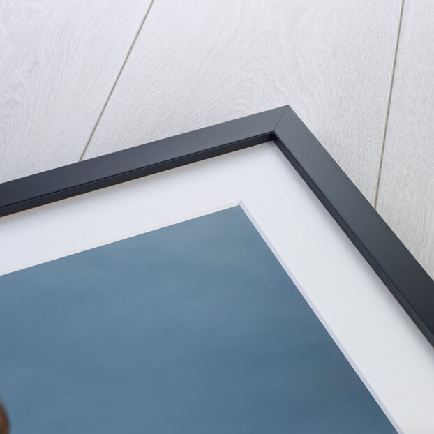 1960s baby architect sitting among blueprints by Anonymous