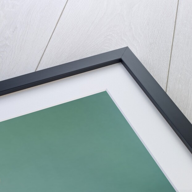 1960s baby wearing cowboy hat and holster with guns pistols looking at camera by Anonymous