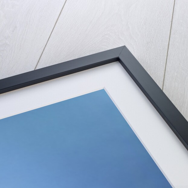 1960s baby dressed as royal queen in red velvet robe cloak cape rhinestone tiara crown and scepter wand by Anonymous