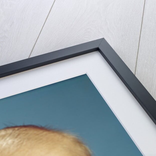 1960s portrait adorable sincere baby looking at camera by Anonymous