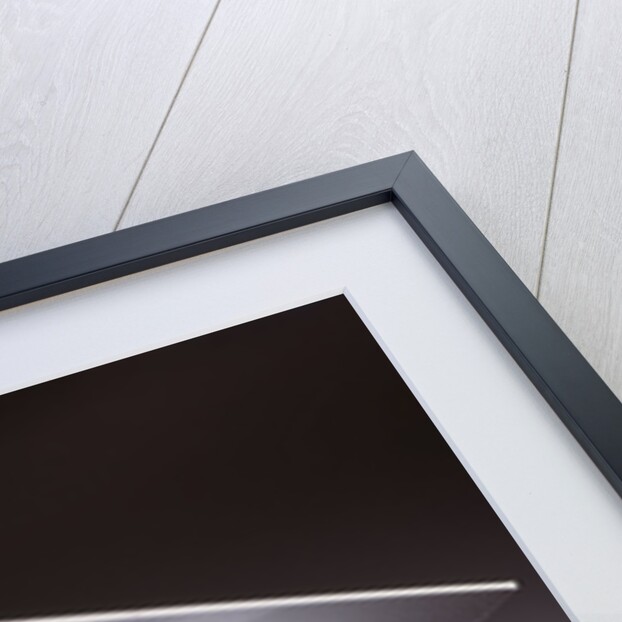 1990s wise old owl wearing white mortarboard graduation cap by Anonymous