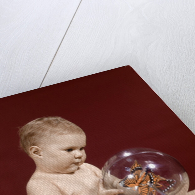 1960s baby sitting holding clear plastic toy ball with butterflies inside by Anonymous