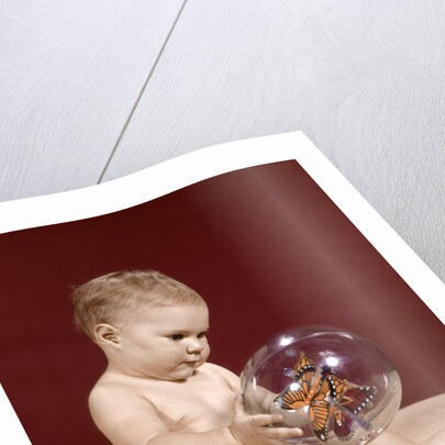 1960s baby sitting holding clear plastic toy ball with butterflies inside by Anonymous