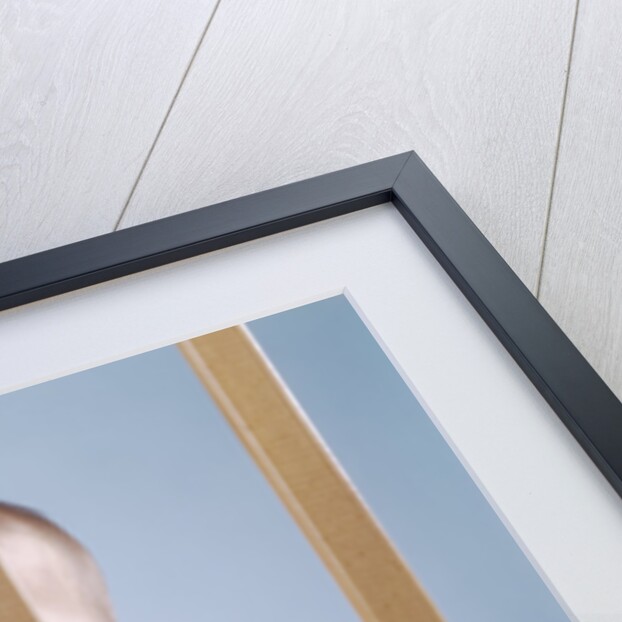 1960s baby in crib or playpen looking through bars alarmed expression by Anonymous