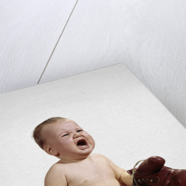 1960s crying baby wearing large boxing gloves by Anonymous