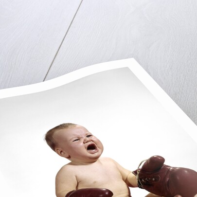 1960s crying baby wearing large boxing gloves by Anonymous