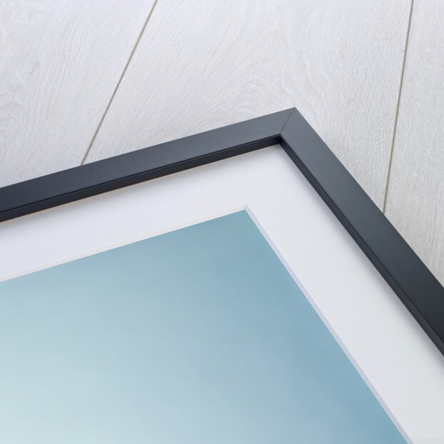 1960s baby businessman diaper sitting at loan desk wearing eyeglasses talking on telephone by Anonymous