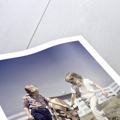 1940s 1950s boy girl leading young calf on farm by Anonymous