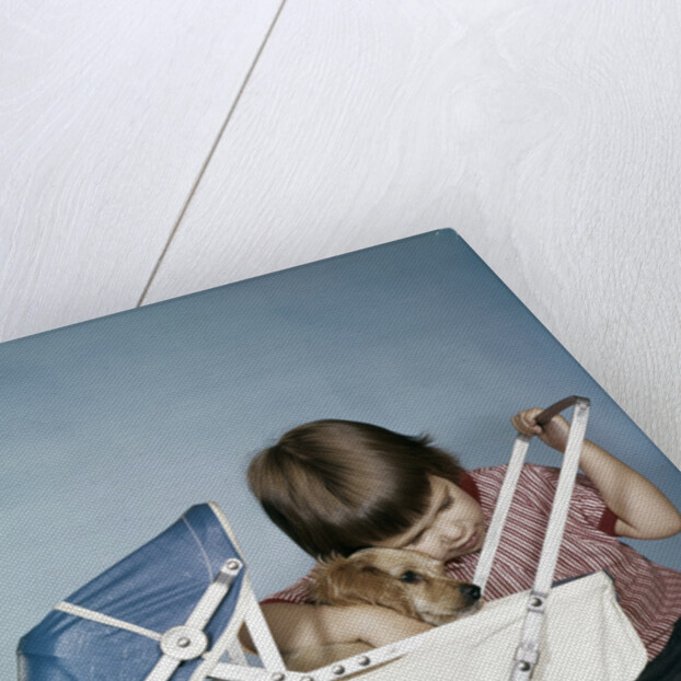 1950s 1960s little girl hugging cocker spaniel puppy riding in a baby carriage studio by Anonymous