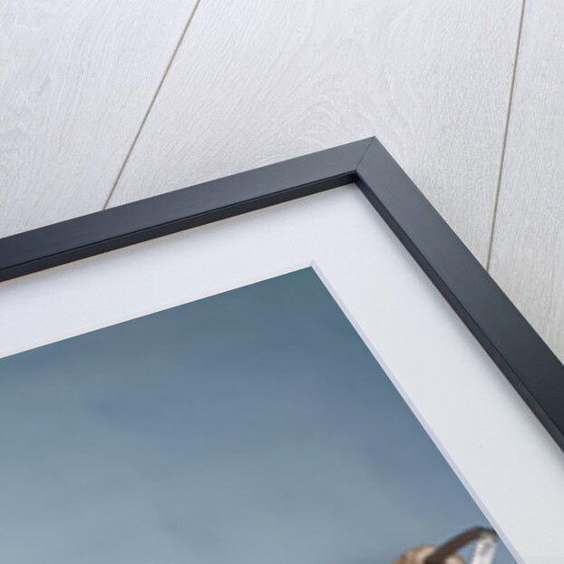 1950s 1960s little girl hugging cocker spaniel puppy riding in a baby carriage studio by Anonymous