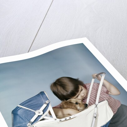 1950s 1960s little girl hugging cocker spaniel puppy riding in a baby carriage studio by Anonymous