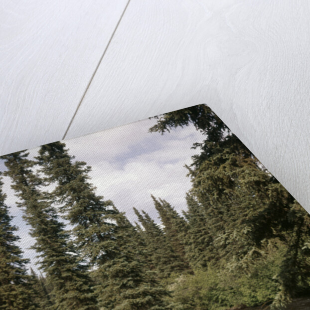 1970s couple man woman fishing in stream campsite with tent by Anonymous