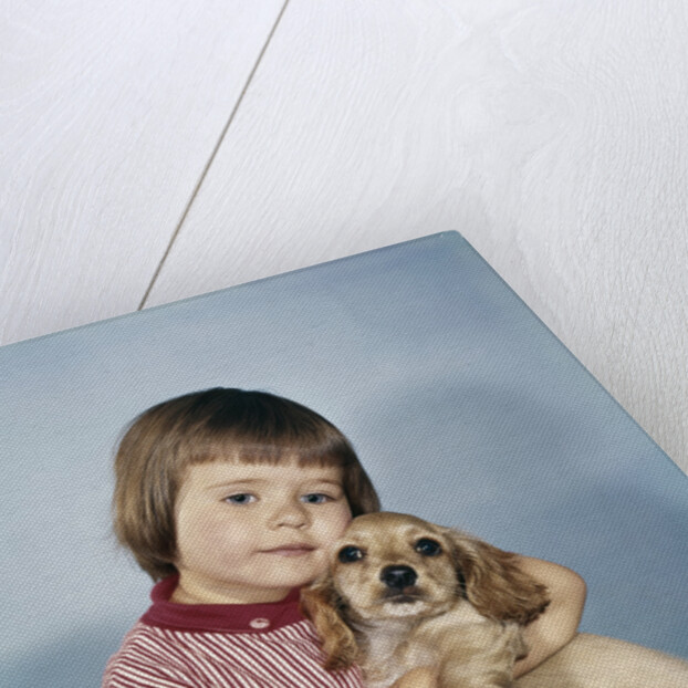 1950s 1960s winsome sad little girl sitting hugging a cocker spaniel puppy studio by Anonymous
